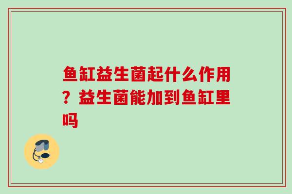 鱼缸益生菌起什么作用?益生菌能加到鱼缸里吗 鱼缸益生菌起什么作用?益生菌能加到鱼缸里吗