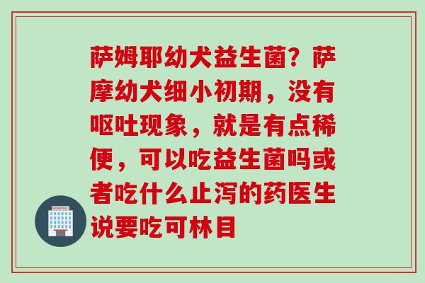 萨姆耶幼犬益生菌？萨摩幼犬细小初期，没有现象，就是有点稀便，可以吃益生菌吗或者吃什么止泻的药医生说要吃可林目
