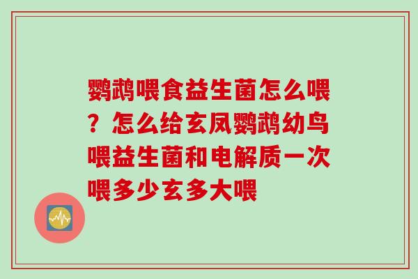 鹦鹉喂食益生菌怎么喂？怎么给玄凤鹦鹉幼鸟喂益生菌和电解质一次喂多少玄多大喂