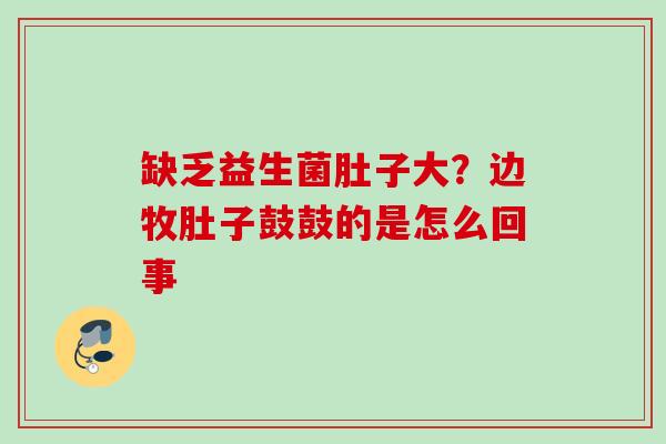 缺乏益生菌肚子大？边牧肚子鼓鼓的是怎么回事