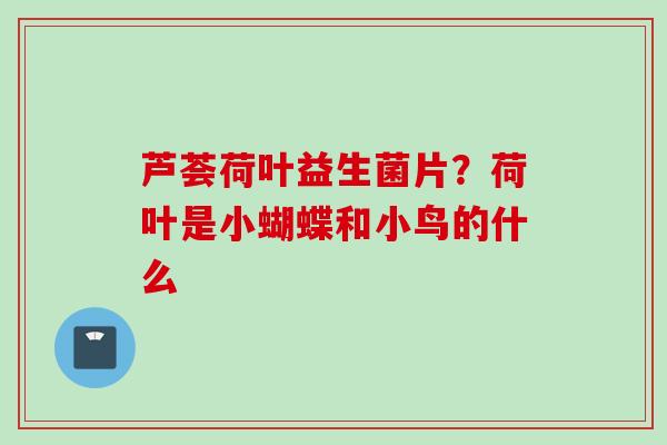 芦荟荷叶益生菌片?荷叶是小蝴蝶和小鸟的什么 芦荟荷叶益生菌片?荷叶是小蝴蝶和小鸟的什么