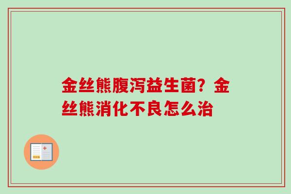 金丝熊益生菌？金丝熊怎么