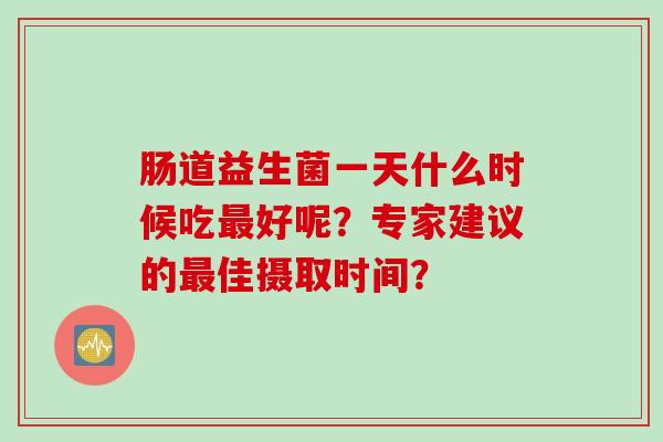肠道益生菌一天什么时候吃好呢？专家建议的佳摄取时间？