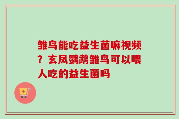 雏鸟能吃益生菌嘛视频?玄凤鹦鹉雏鸟可以喂人吃的益生菌吗 雏鸟能吃益生菌嘛视频?玄凤鹦鹉雏鸟可以喂人吃的益生菌吗