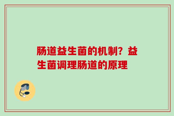 肠道益生菌的机制？益生菌调理肠道的原理