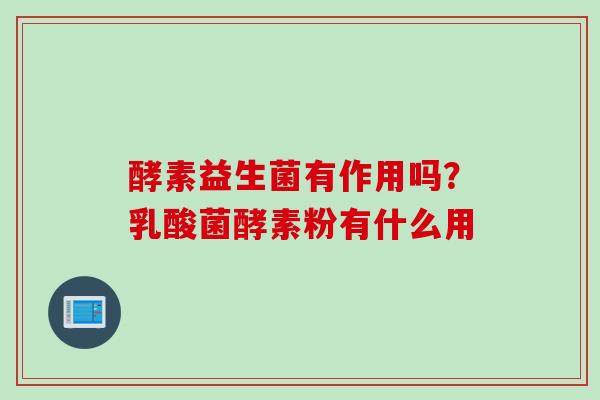 酵素益生菌有作用吗？乳酸菌酵素粉有什么用