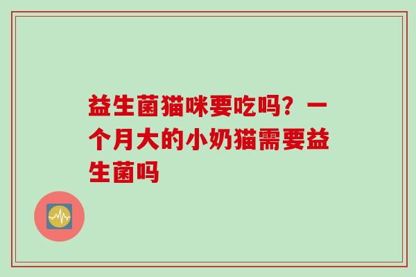 益生菌猫咪要吃吗？一个月大的小奶猫需要益生菌吗