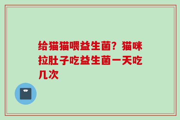 给猫猫喂益生菌？猫咪拉肚子吃益生菌一天吃几次