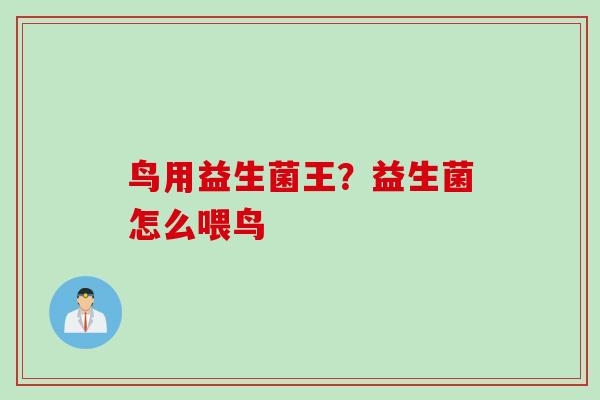 鸟用益生菌王？益生菌怎么喂鸟
