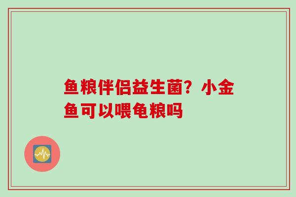 鱼粮伴侣益生菌？小金鱼可以喂龟粮吗