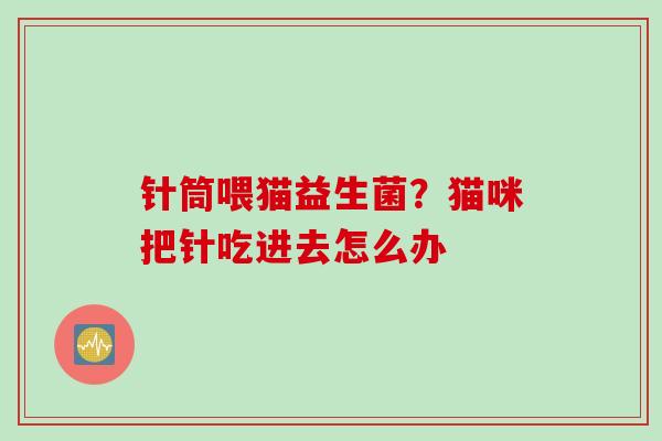 针筒喂猫益生菌？猫咪把针吃进去怎么办