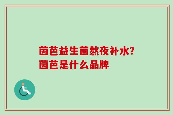 茵芭益生菌熬夜补水？茵芭是什么品牌