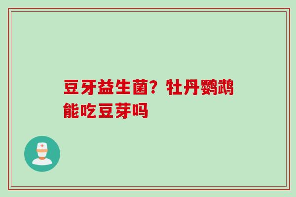 豆牙益生菌？牡丹鹦鹉能吃豆芽吗