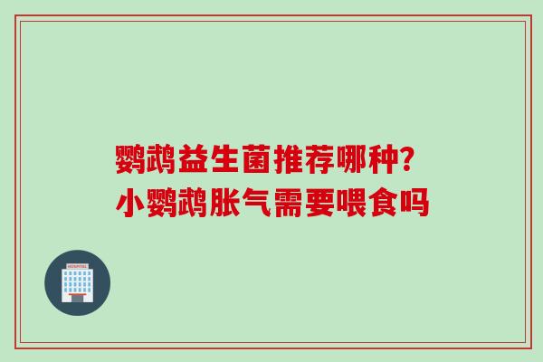 鹦鹉益生菌推荐哪种?小鹦鹉需要喂食吗 鹦鹉益生菌推荐哪种?小鹦鹉需要喂食吗