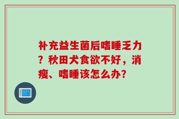 补充益生菌后嗜睡乏力？秋田犬不好，消瘦、嗜睡该怎么办？