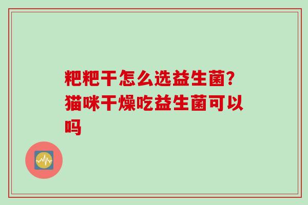粑粑干怎么选益生菌?猫咪干燥吃益生菌可以吗 粑粑干怎么选益生菌?猫咪干燥吃益生菌可以吗