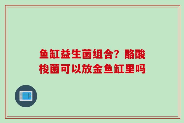 鱼缸益生菌组合？酪酸梭菌可以放金鱼缸里吗