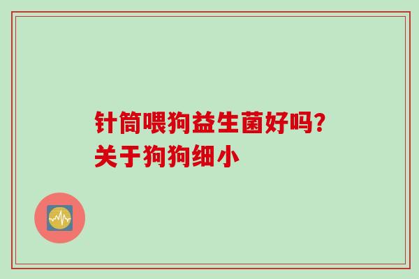 针筒喂狗益生菌好吗？关于狗狗细小