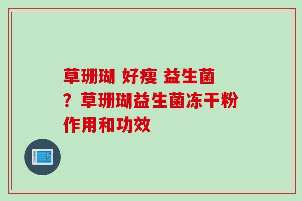 草珊瑚 好瘦 益生菌？草珊瑚益生菌冻干粉作用和功效