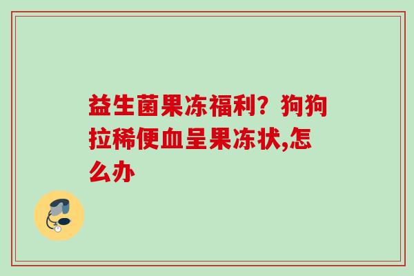 益生菌果冻福利？狗狗拉稀便呈果冻状,怎么办