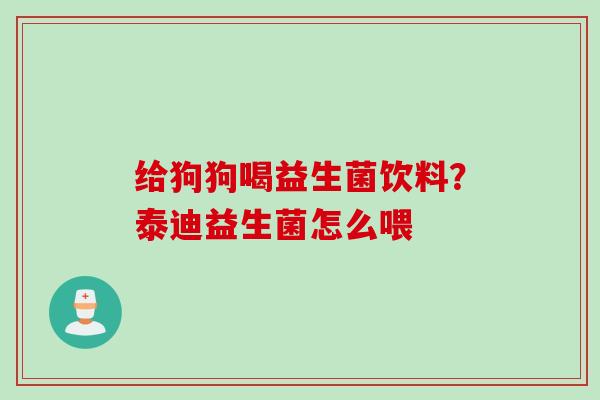 给狗狗喝益生菌饮料？泰迪益生菌怎么喂