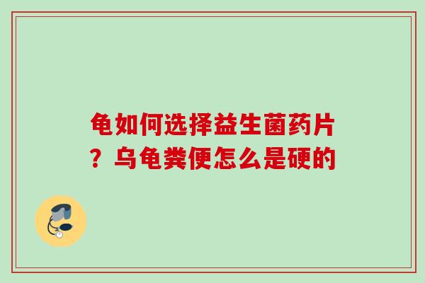 龟如何选择益生菌药片？乌龟粪便怎么是硬的
