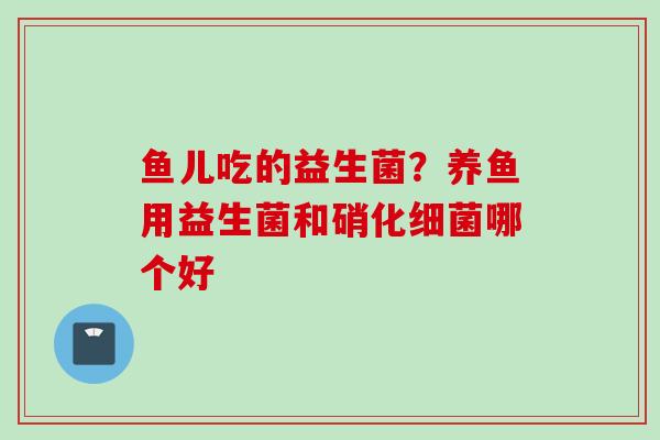 鱼儿吃的益生菌？养鱼用益生菌和硝化哪个好