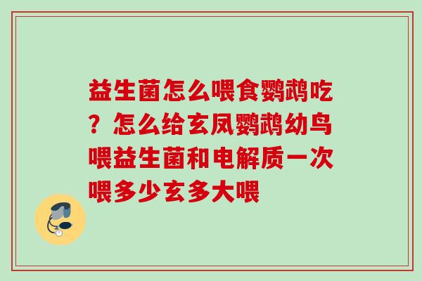 益生菌怎么喂食鹦鹉吃？怎么给玄凤鹦鹉幼鸟喂益生菌和电解质一次喂多少玄多大喂