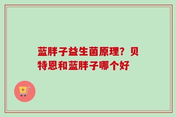 蓝胖子益生菌原理？贝特恩和蓝胖子哪个好