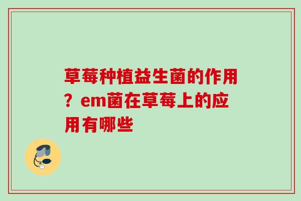 草莓种植益生菌的作用？em菌在草莓上的应用有哪些