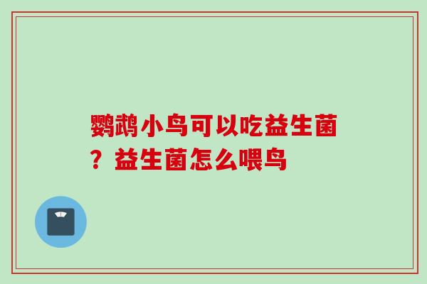 鹦鹉小鸟可以吃益生菌?益生菌怎么喂鸟 鹦鹉小鸟可以吃益生菌?益生菌怎么喂鸟