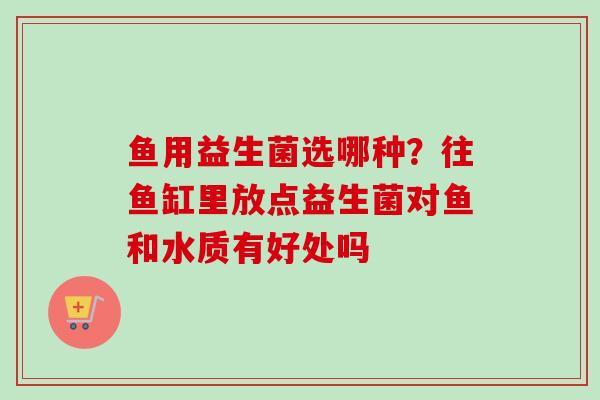 鱼用益生菌选哪种？往鱼缸里放点益生菌对鱼和水质有好处吗