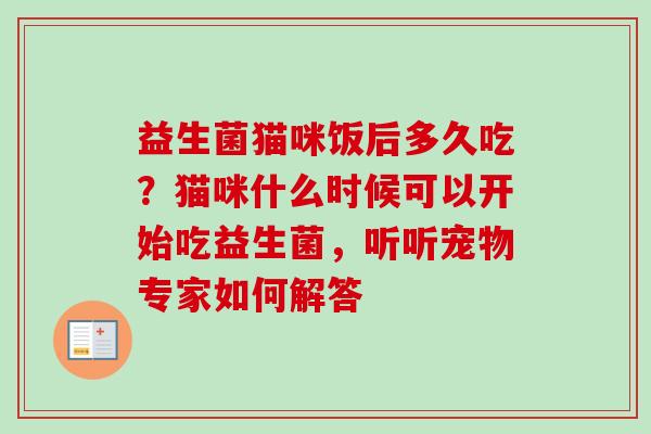 益生菌猫咪饭后多久吃？猫咪什么时候可以开始吃益生菌，听听宠物专家如何解答