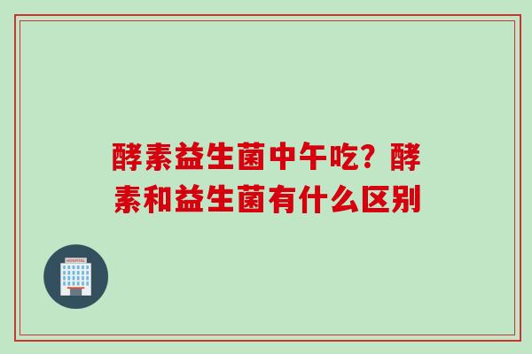 酵素益生菌中午吃?酵素和益生菌有什么区别 酵素益生菌中午吃?酵素和益生菌有什么区别
