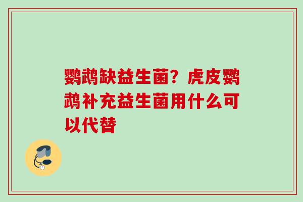 鹦鹉缺益生菌?虎皮鹦鹉补充益生菌用什么可以代替 鹦鹉缺益生菌?虎皮鹦鹉补充益生菌用什么可以代替
