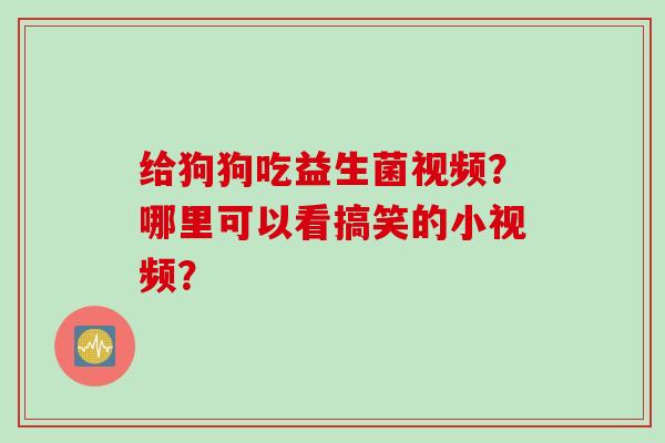 给狗狗吃益生菌视频?哪里可以看搞笑的小视频? 给狗狗吃益生菌视频?哪里可以看搞笑的小视频?