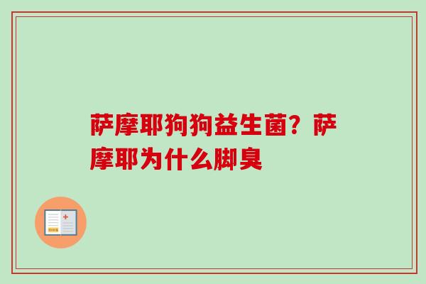 萨摩耶狗狗益生菌?萨摩耶为什么脚臭 萨摩耶狗狗益生菌?萨摩耶为什么脚臭