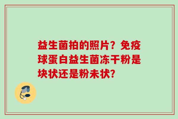 益生菌拍的照片？球蛋白益生菌冻干粉是块状还是粉未状？
