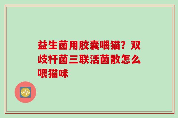 益生菌用胶囊喂猫?双歧杆菌三联活菌散怎么喂猫咪 益生菌用胶囊喂猫?双歧杆菌三联活菌散怎么喂猫咪