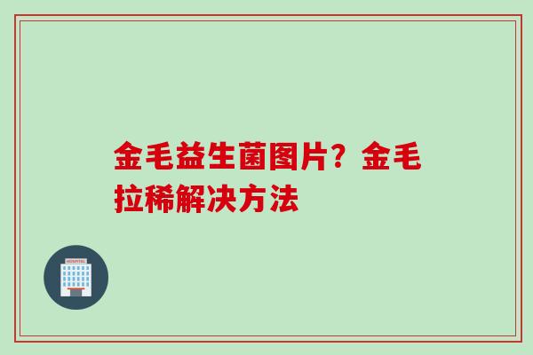 金毛益生菌图片？金毛拉稀解决方法