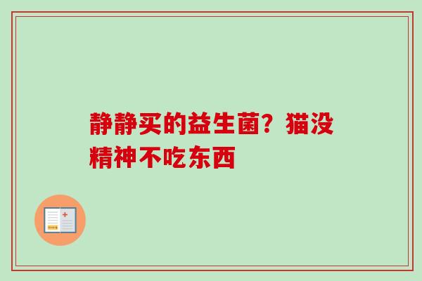 静静买的益生菌?猫没精神不吃东西 静静买的益生菌?猫没精神不吃东西
