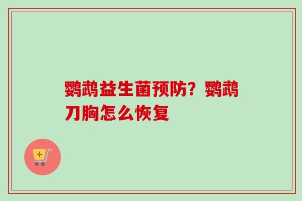 鹦鹉益生菌?鹦鹉刀胸怎么恢复 鹦鹉益生菌?鹦鹉刀胸怎么恢复