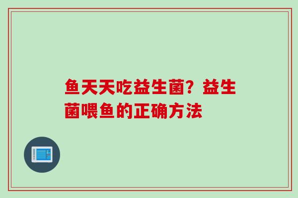 鱼天天吃益生菌？益生菌喂鱼的正确方法