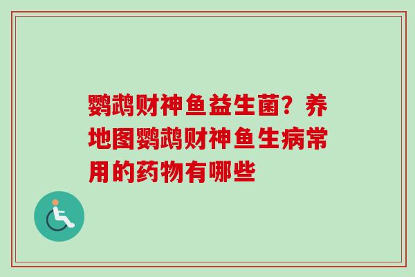 鹦鹉财神鱼益生菌?养地图鹦鹉财神鱼生常用的有哪些 鹦鹉财神鱼益生菌?养地图鹦鹉财神鱼生常用的有哪些