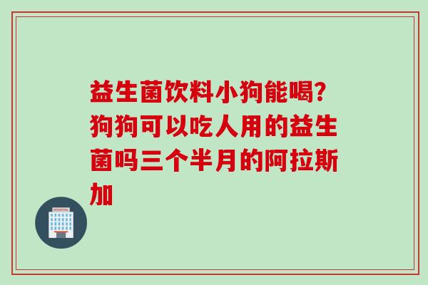 益生菌饮料小狗能喝？狗狗可以吃人用的益生菌吗三个半月的阿拉斯加
