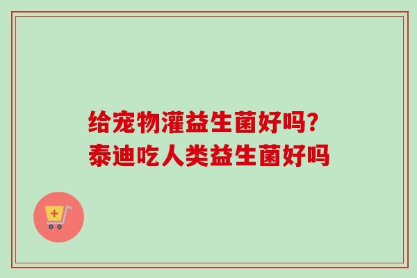 给宠物灌益生菌好吗？泰迪吃人类益生菌好吗