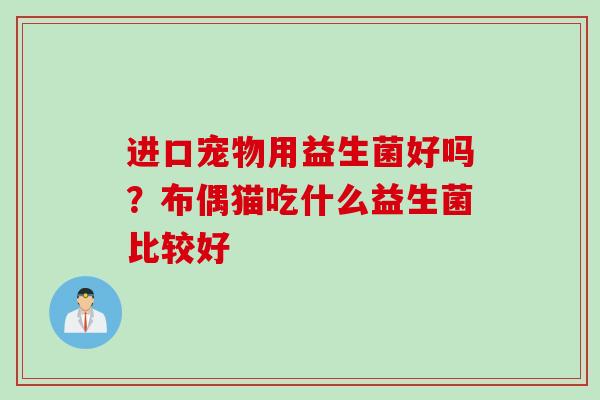 进口宠物用益生菌好吗？布偶猫吃什么益生菌比较好