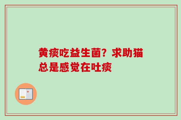 黄痰吃益生菌?求助猫总是感觉在吐痰 黄痰吃益生菌?求助猫总是感觉在吐痰