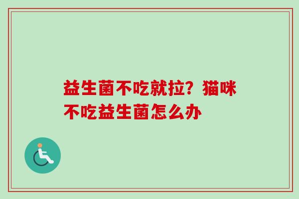 益生菌不吃就拉?猫咪不吃益生菌怎么办 益生菌不吃就拉?猫咪不吃益生菌怎么办