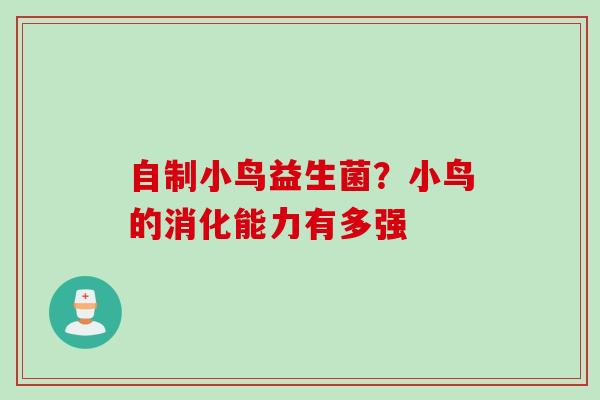 自制小鸟益生菌?小鸟的消化能力有多强 自制小鸟益生菌?小鸟的消化能力有多强
